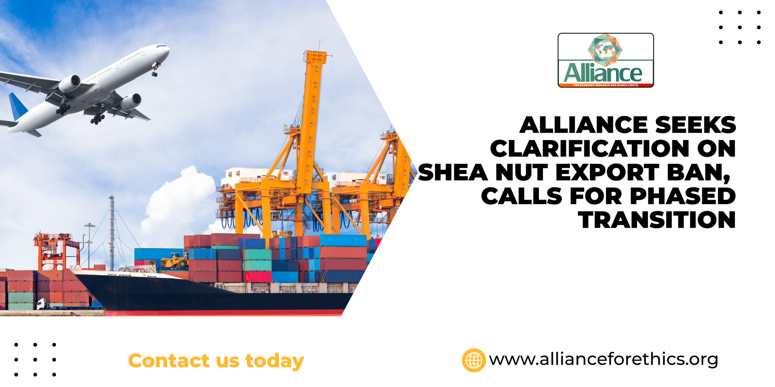 Alliance seeks clarification on shea nut export ban, calls for phased transition